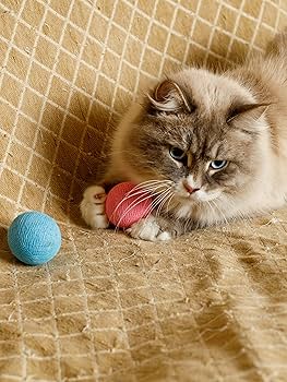 じゃれねこ『ローズ☆』 Amazon | キャティーマン (CattyMan) じゃれ猫 ねこ玉遊び から